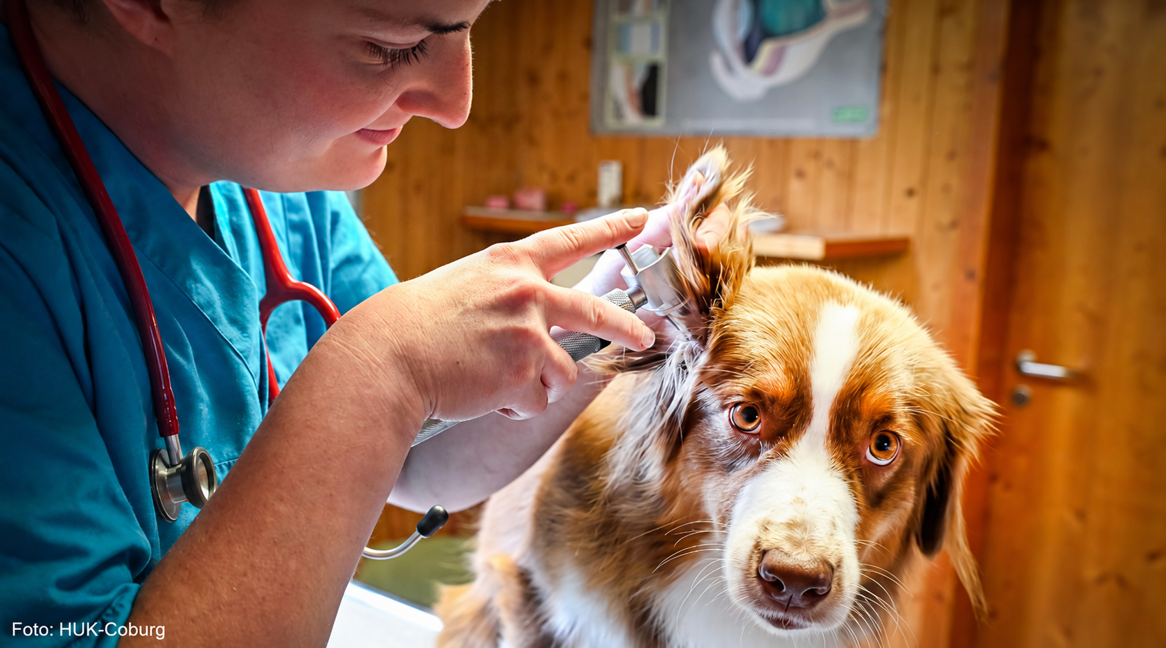 HUK-Coburg startet Tierkrankenversicherung für Hunde und Katzen
